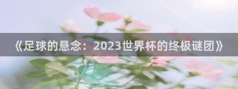世界杯亚洲预选赛18强赛程：《足球的悬念：2023世界杯的终极谜团》