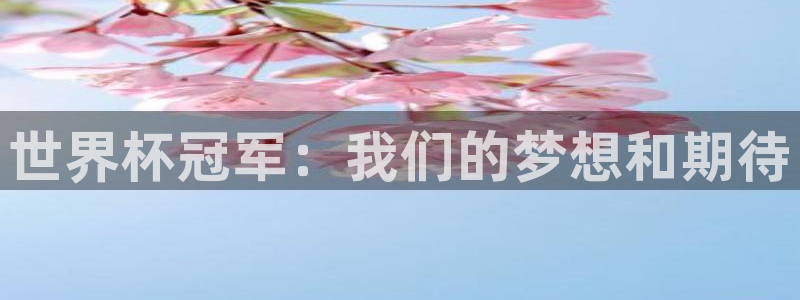世界杯2026比赛时间表：世界杯冠军：我们的梦想和期待