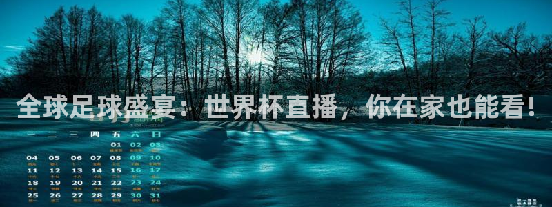 2026世界杯欧洲预选赛赛程表：全球足球盛宴：世界杯直播，你在家也能看!