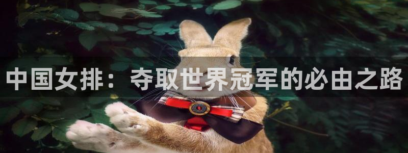世界杯足球赛2026赛程时间：中国女排：夺取世界冠军的必由之路