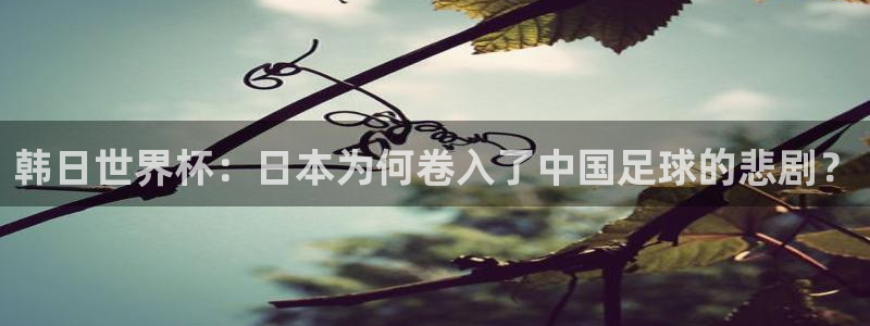 世界杯直播在线观看入口：韩日世界杯：日本为何卷入了中国足球的悲剧？