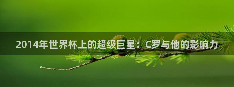 足球世预赛：2014年世界杯上的超级巨星：C罗与他的影响力