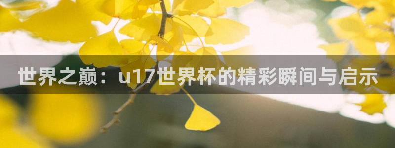 世界杯直播时间：世界之巅：u17世界杯的精彩瞬间与启示
