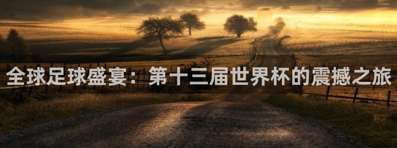 世界杯直播网：全球足球盛宴：第十三届世界杯的震撼之旅